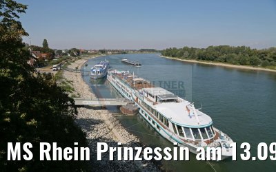 MS Rhein Prinzessin am 13.09.2016 in Speyer