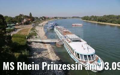 MS Rhein Prinzessin am 13.09.2016 in Speyer