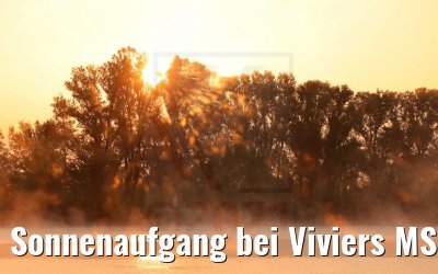 Sonnenaufgang bei Viviers MS Annabelle