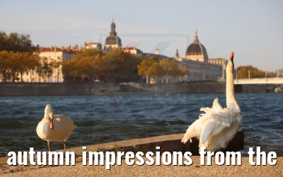 autumn impressions from the streets of Lyon