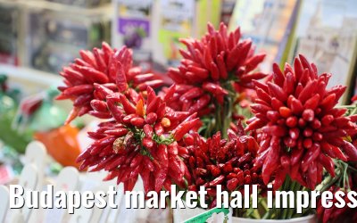 Budapest market hall impressions 22.09.2025