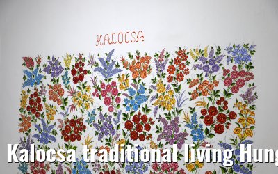 Kalocsa traditional living Hungary 13.09.2025