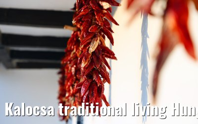 Kalocsa traditional living Hungary 13.09.2025
