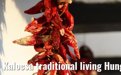 Kalocsa traditional living Hungary 13.09.2025