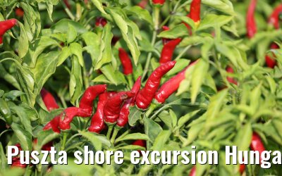 Puszta shore excursion Hungary 13.09.2025