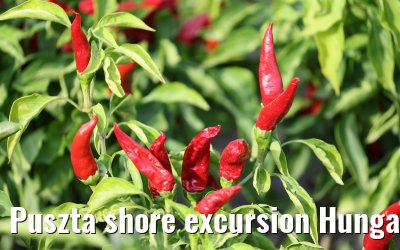 Puszta shore excursion Hungary 13.09.2025