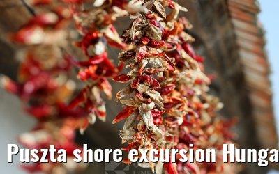 Puszta shore excursion Hungary 13.09.2025