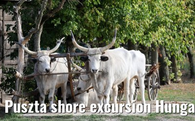 Puszta shore excursion Hungary 13.09.2025