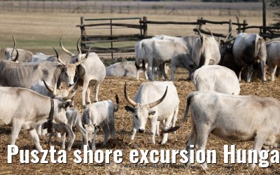 Puszta shore excursion Hungary 13.09.2025