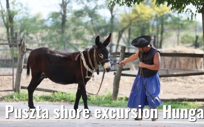 Puszta shore excursion Hungary 13.09.2025