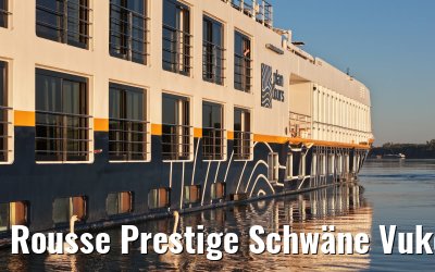 Rousse Prestige Schwäne Vukovar 21.09.2025