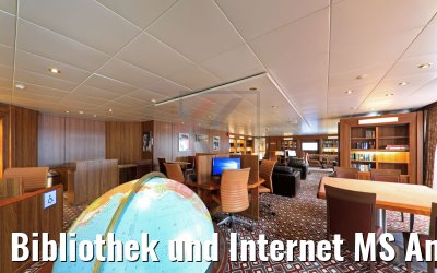 Bibliothek und Internet MS Amera