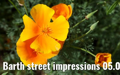 Barth street impressions 05.06.2026