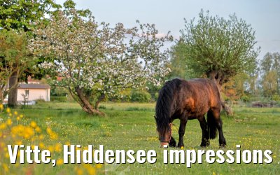Vitte, Hiddensee impressions 23.05.2026