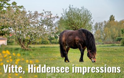 Vitte, Hiddensee impressions 23.05.2026