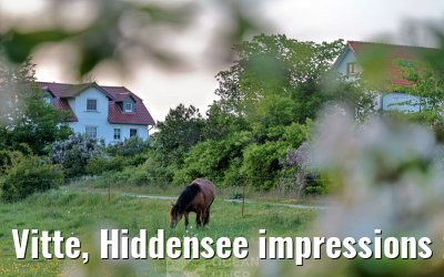 Vitte, Hiddensee impressions 23.05.2026
