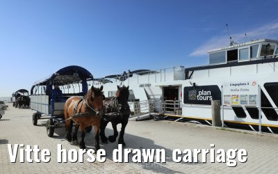 Vitte horse drawn carriage