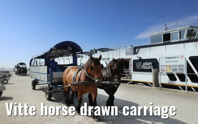 Vitte horse drawn carriage