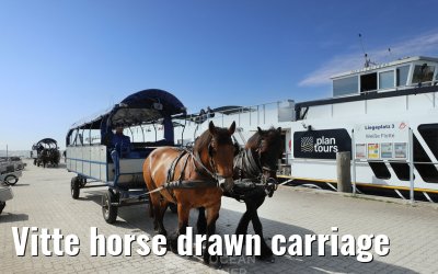 Vitte horse drawn carriage