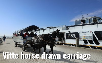 Vitte horse drawn carriage