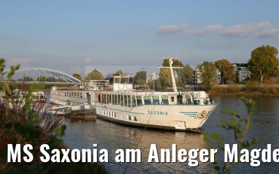 MS Saxonia am Anleger Magdeburg 16.10.2016