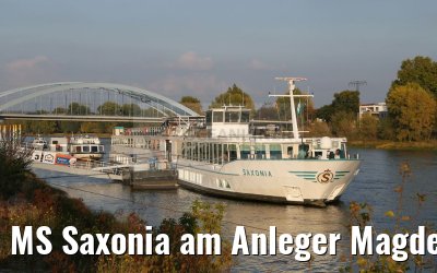 MS Saxonia am Anleger Magdeburg 16.10.2016