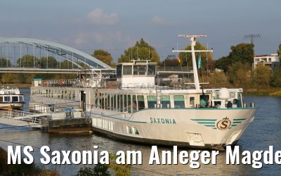MS Saxonia am Anleger Magdeburg 16.10.2016