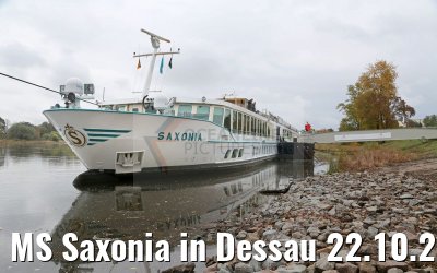 MS Saxonia in Dessau 22.10.2016