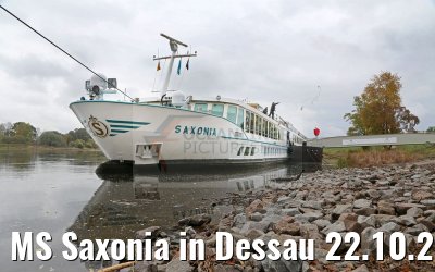 MS Saxonia in Dessau 22.10.2016
