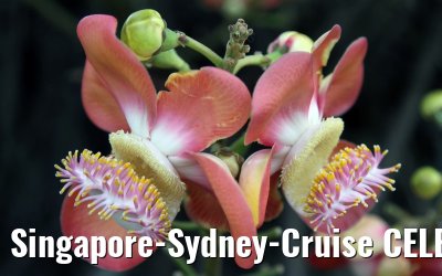Singapore-Sydney-Cruise CELEBRITY SOLSTICE December 2012 