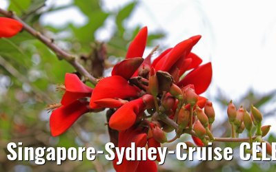 Singapore-Sydney-Cruise CELEBRITY SOLSTICE December 2012 