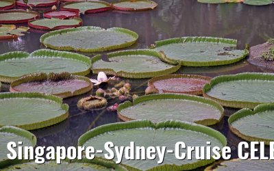 Singapore-Sydney-Cruise CELEBRITY SOLSTICE December 2012 