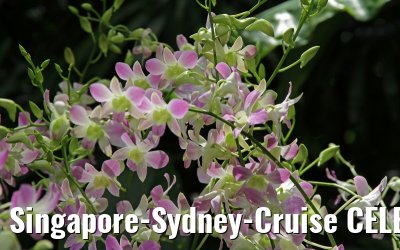 Singapore-Sydney-Cruise CELEBRITY SOLSTICE December 2012 