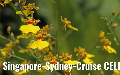Singapore-Sydney-Cruise CELEBRITY SOLSTICE December 2012 