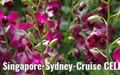 Singapore-Sydney-Cruise CELEBRITY SOLSTICE December 2012 