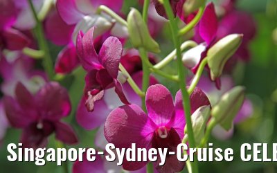 Singapore-Sydney-Cruise CELEBRITY SOLSTICE December 2012 