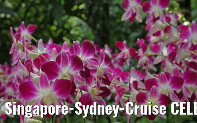 Singapore-Sydney-Cruise CELEBRITY SOLSTICE December 2012 