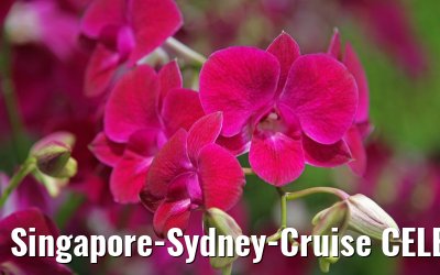 Singapore-Sydney-Cruise CELEBRITY SOLSTICE December 2012 