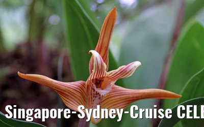 Singapore-Sydney-Cruise CELEBRITY SOLSTICE December 2012 