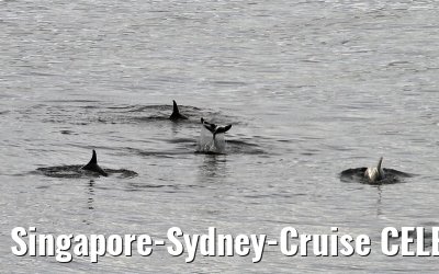 Singapore-Sydney-Cruise CELEBRITY SOLSTICE December 2012 