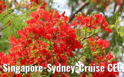 Singapore-Sydney-Cruise CELEBRITY SOLSTICE December 2012 