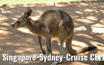 Singapore-Sydney-Cruise CELEBRITY SOLSTICE December 2012 
