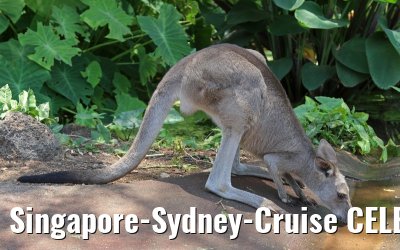 Singapore-Sydney-Cruise CELEBRITY SOLSTICE December 2012 