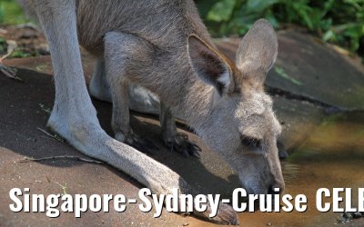 Singapore-Sydney-Cruise CELEBRITY SOLSTICE December 2012 