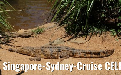 Singapore-Sydney-Cruise CELEBRITY SOLSTICE December 2012 