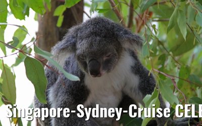 Singapore-Sydney-Cruise CELEBRITY SOLSTICE December 2012 
