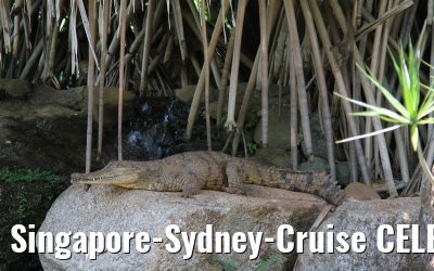 Singapore-Sydney-Cruise CELEBRITY SOLSTICE December 2012 