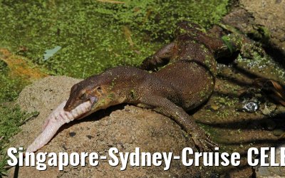 Singapore-Sydney-Cruise CELEBRITY SOLSTICE December 2012 