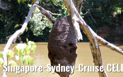 Singapore-Sydney-Cruise CELEBRITY SOLSTICE December 2012 