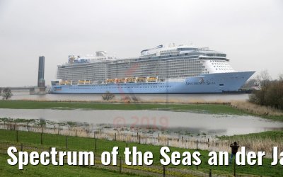 Spectrum of the Seas an der Jann-Berghaus-Brücke in Leer 20.03.2019